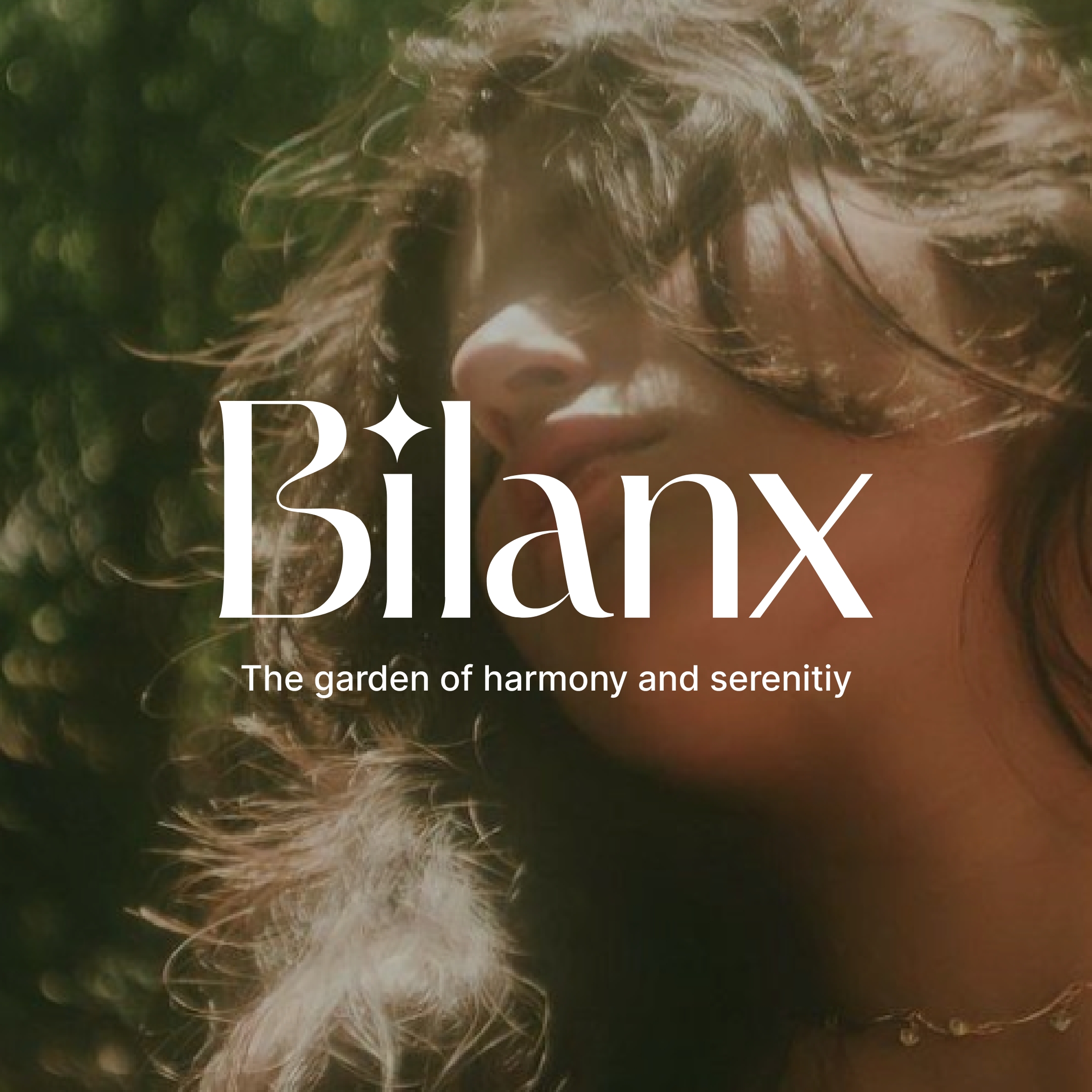 Logo Design – Bilanx
