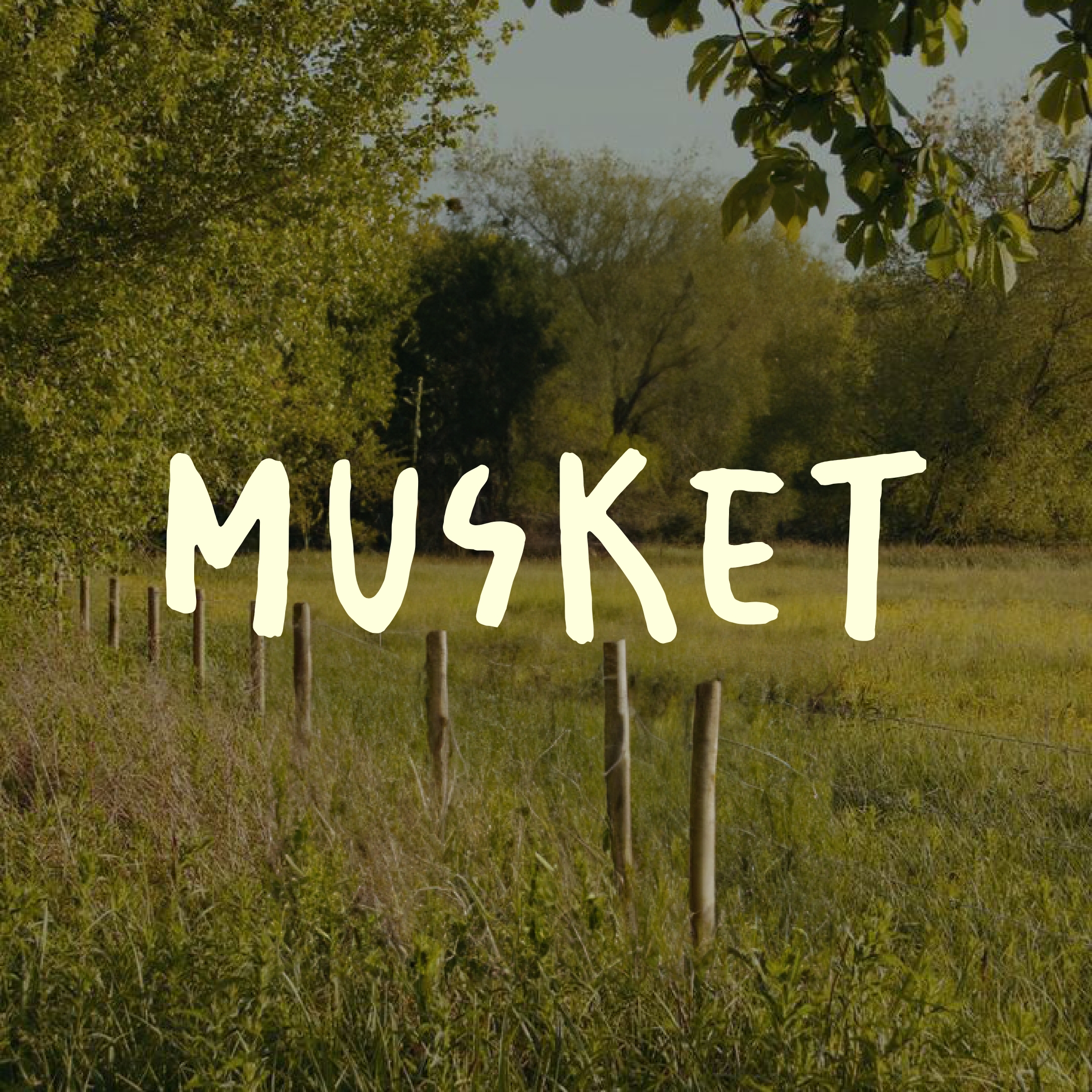 Logo Design – MUSKET