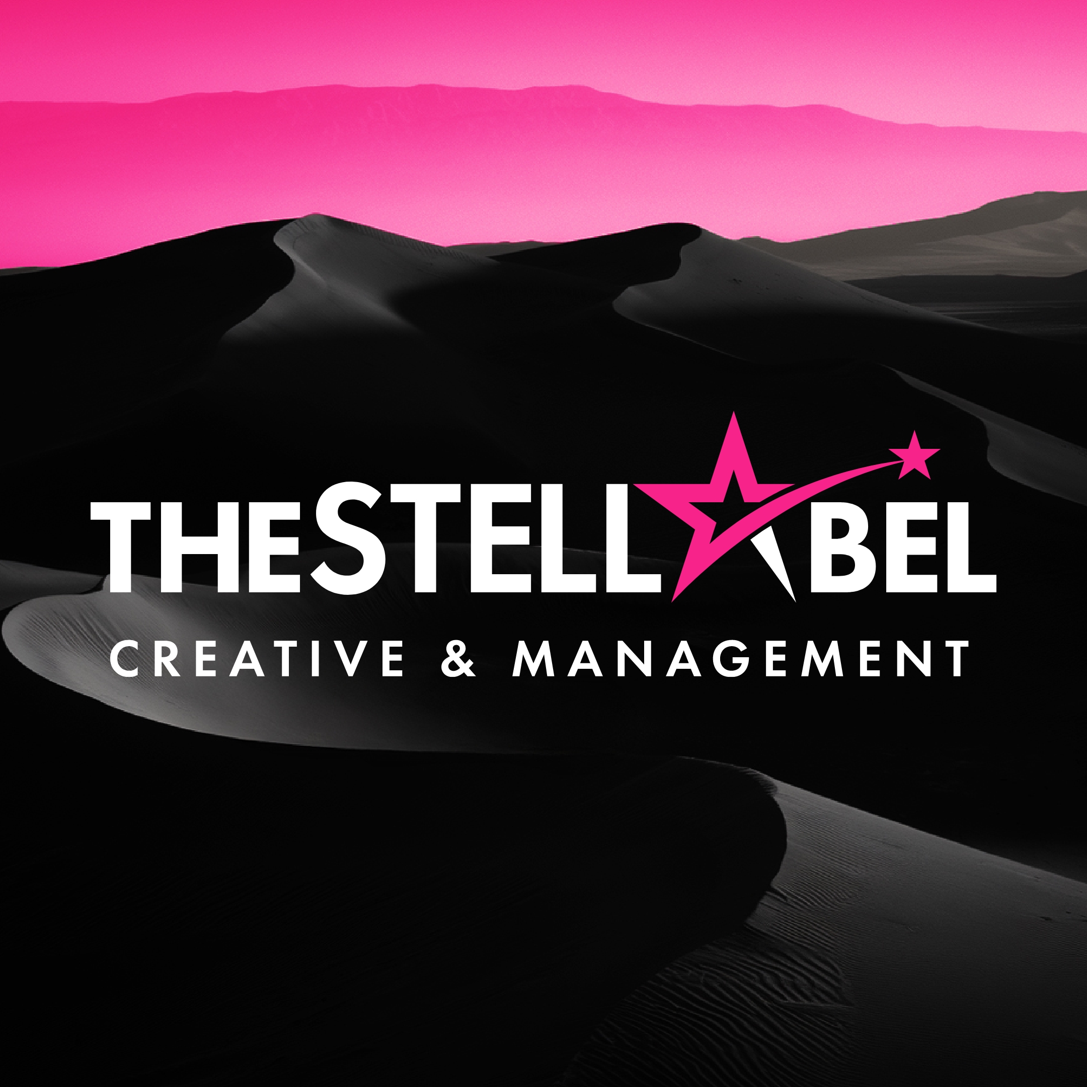 Logo Design  – THE STELLABEL